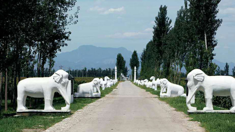 陵园道路